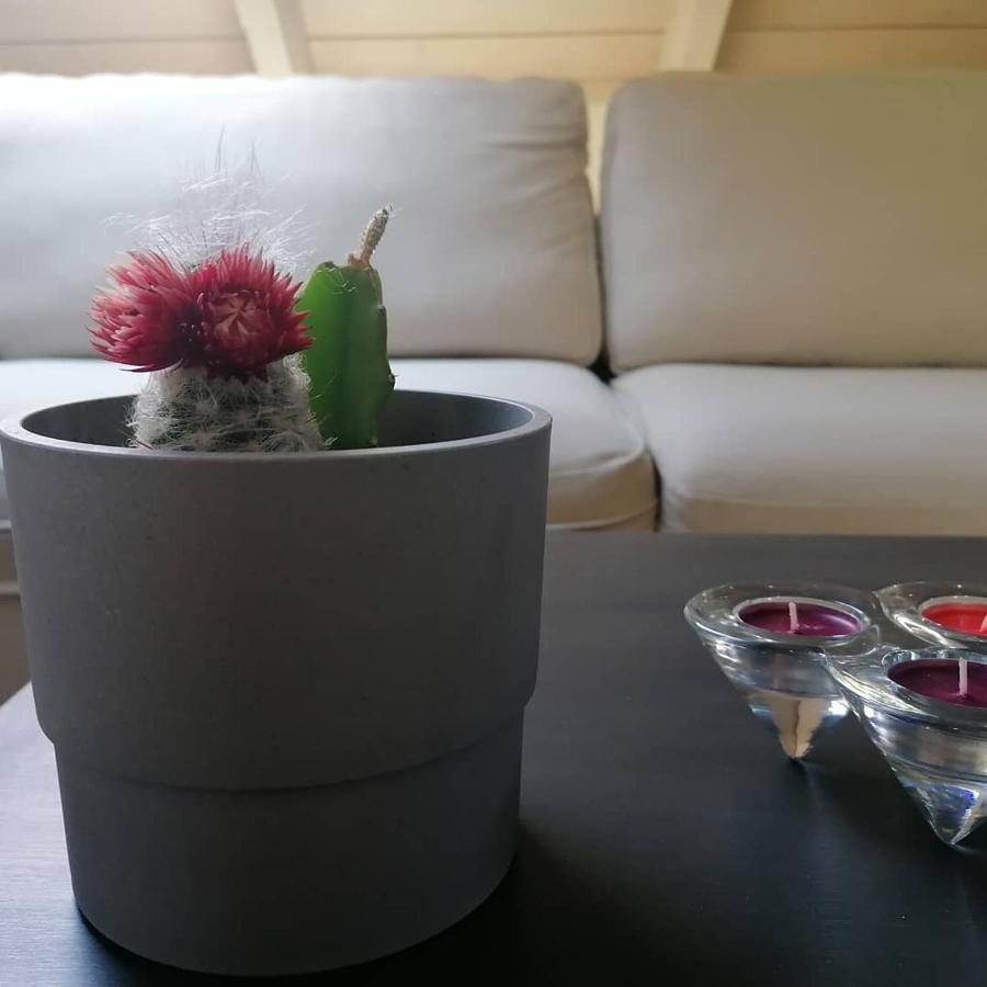Argostoli Loft 아파트 호텔 외부 사진