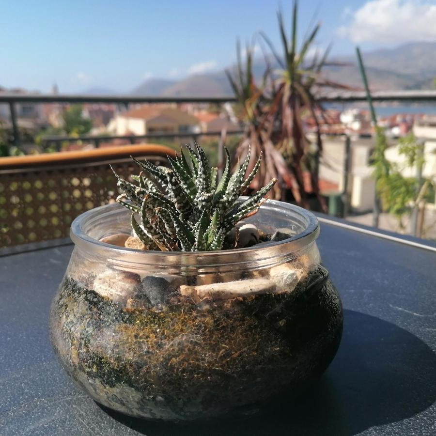 Argostoli Loft 아파트 호텔 외부 사진